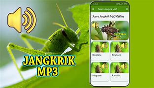 Suara Jangkrik Singkat Mp3 Download